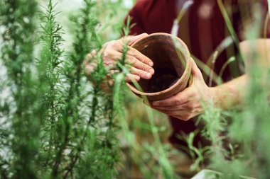 Evdeki terasta bitkilerle ilgilenen adam..