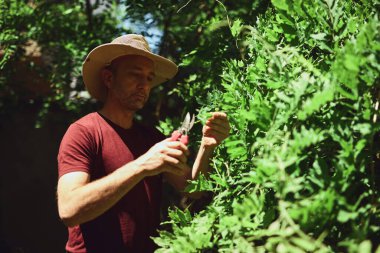 Ev bahçesindeki bitkilerle ilgilenen adam..