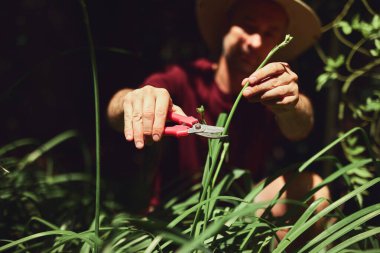Ev bahçesindeki bitkilerle ilgilenen adam..