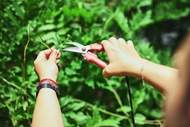 Ev bahçesinde bitkilerle ilgilenen bir kadın..