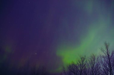 Aurora borealis, Samanyolu yıldızlı kutup ışıkları.