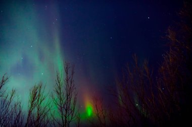 Aurora borealis, Samanyolu yıldızlı kutup ışıkları.