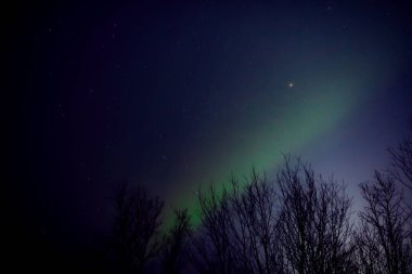 Aurora borealis, Samanyolu yıldızlı kutup ışıkları.