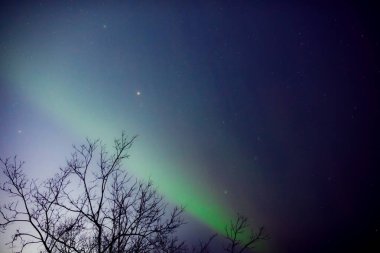 Aurora borealis, Samanyolu yıldızlı kutup ışıkları.