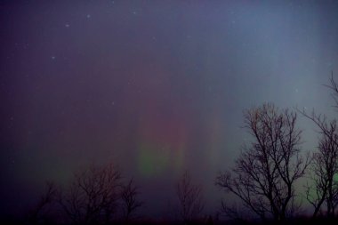 Aurora borealis, Samanyolu yıldızlı kutup ışıkları.