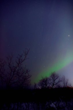 Aurora borealis, Samanyolu yıldızlı kutup ışıkları.