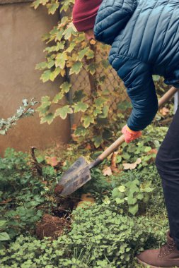 Bahçede bir kürekle çalışan adam.