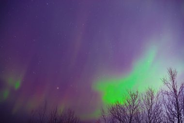 Aurora borealis, Samanyolu yıldızlı kutup ışıkları.