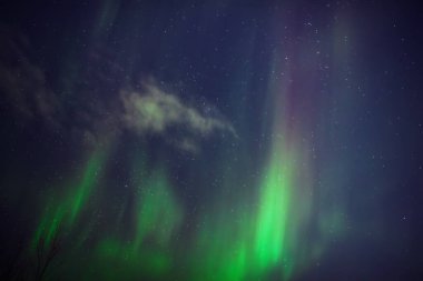 Aurora borealis, Samanyolu yıldızlı kutup ışıkları.