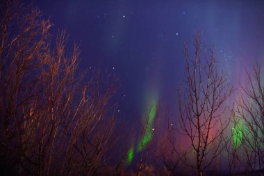 Aurora borealis, Samanyolu yıldızlı kutup ışıkları.