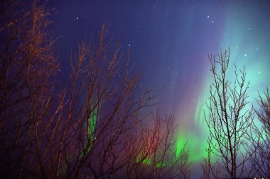 Aurora borealis, Samanyolu yıldızlı kutup ışıkları.