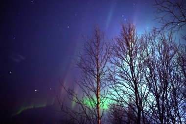 Aurora borealis, Samanyolu yıldızlı kutup ışıkları.