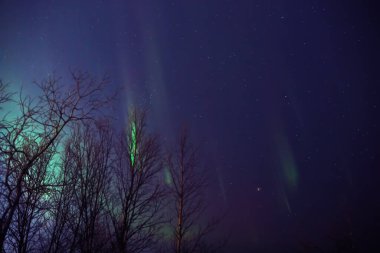 Aurora borealis, Samanyolu yıldızlı kutup ışıkları.
