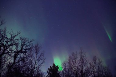 Aurora borealis, Samanyolu yıldızlı kutup ışıkları.