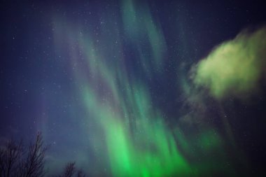 Aurora borealis, Samanyolu yıldızlı kutup ışıkları.