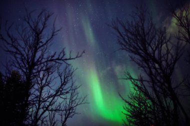Aurora borealis, Samanyolu yıldızlı kutup ışıkları.