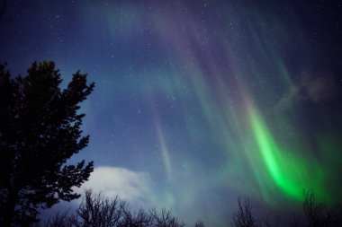 Aurora borealis, Samanyolu yıldızlı kutup ışıkları.