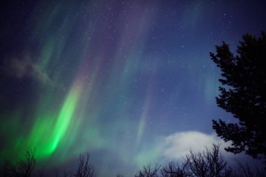 Aurora borealis, Samanyolu yıldızlı kutup ışıkları.