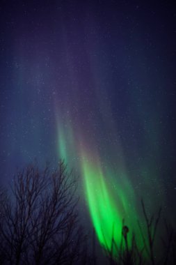 Aurora borealis, Samanyolu yıldızlı kutup ışıkları.