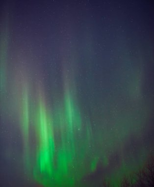 Aurora borealis, Samanyolu yıldızlı kutup ışıkları.
