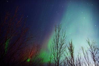 Aurora borealis, Samanyolu yıldızlı kutup ışıkları.