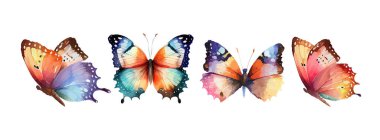 Colorful butterflies watercolor isolated on white background. Pink, green, brown, yellow butterfly. Spring animal vector illustration.