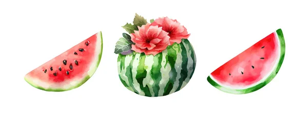 Watermeloen Fruit Aquarel Collectie Set Van Verse Watermeloen Geschilderd Geïsoleerd — Stockvector