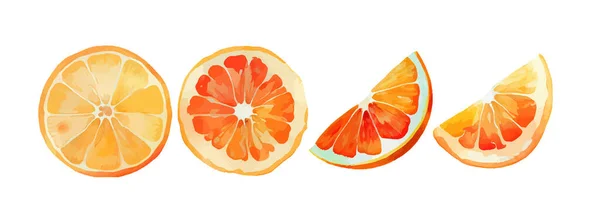 オレンジフルーツ水彩セット 新鮮な夏の果物 柑橘類のみかんの果実 白い背景に隔離されたオレンジの果実スライス ベクターイラスト — ストックベクタ