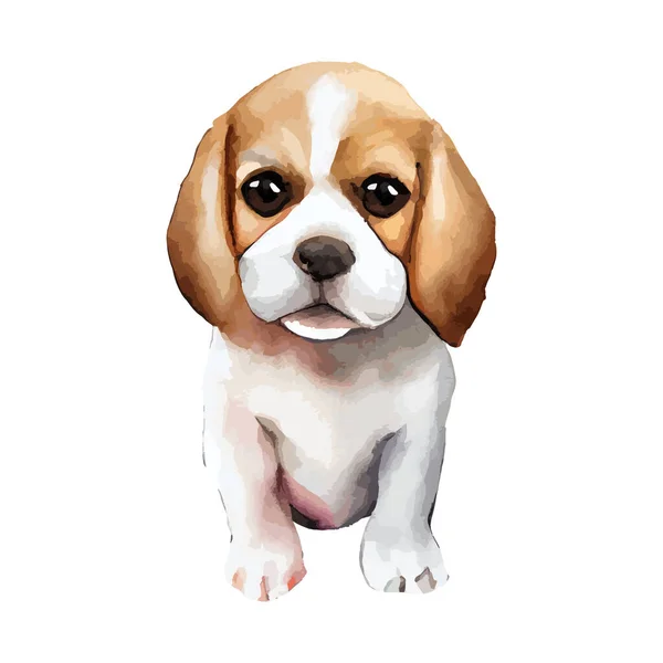 可爱的小狗水的颜色孤立在白色的背景 可爱的狗动物绘图图形设计 宠物肖像矢量插图 — 图库矢量图片