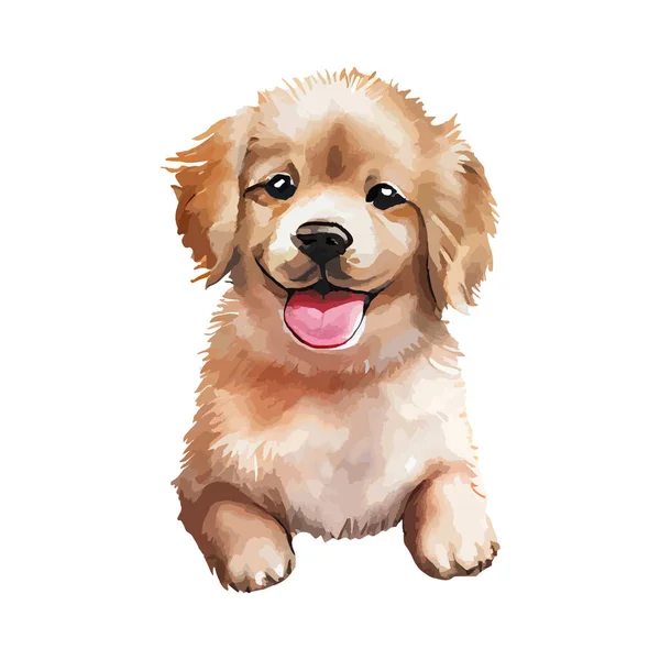 Roztomilé Zlatý Retrívr Štěně Akvarel Izolované Bílém Pozadí Krásný Pes — Stockový vektor
