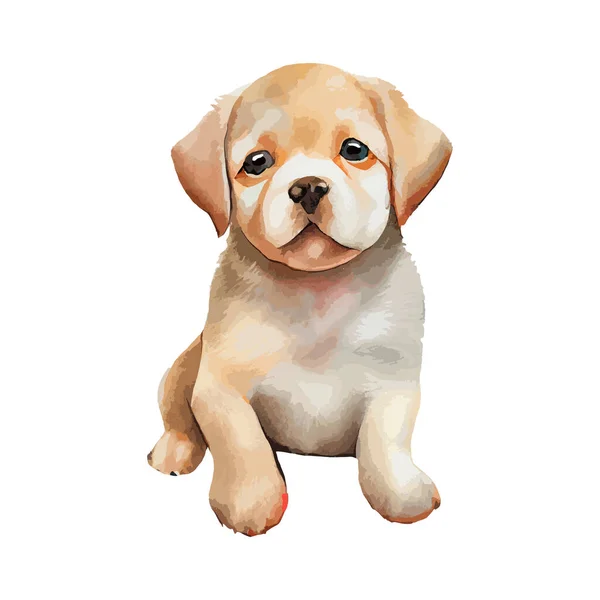 Labrador Imut Puppy Watercolor Diisolasi Pada Latar Belakang Putih Lovely - Stok Vektor