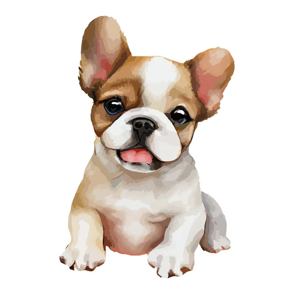 Bulldog Puppy Watercolor Perancis Yang Lucu Diisolasi Dengan Latar Belakang - Stok Vektor