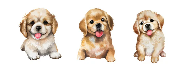 Cute Golden Retriever Cachorro Watercolor Isolado Fundo Branco Adorável Cão —  Vetores de Stock