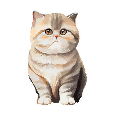 Beyaz arka planda izole edilmiş kedi suluboya portresi. Kitty çizgi film suluboya grafik vektör çizimi.