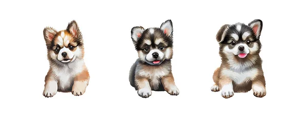 可爱的小狗水的颜色孤立在白色的背景 可爱的狗动物绘图图形设计 宠物肖像矢量插图 — 图库矢量图片