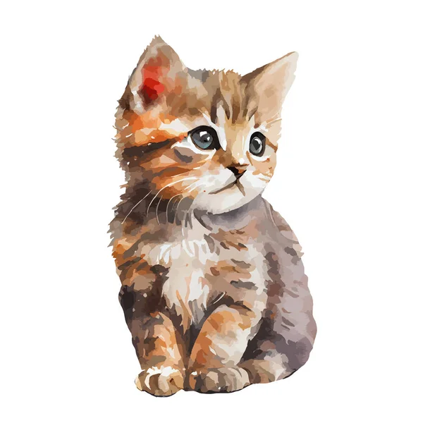 Roztomilý Portrét Kočky Akvarel Izolované Bílém Pozadí Kitty Kreslený Akvarel — Stockový vektor
