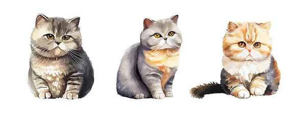 Schattig Portret Van Kat Aquarel Geïsoleerd Witte Achtergrond Kitty Cartoon — Stockvector