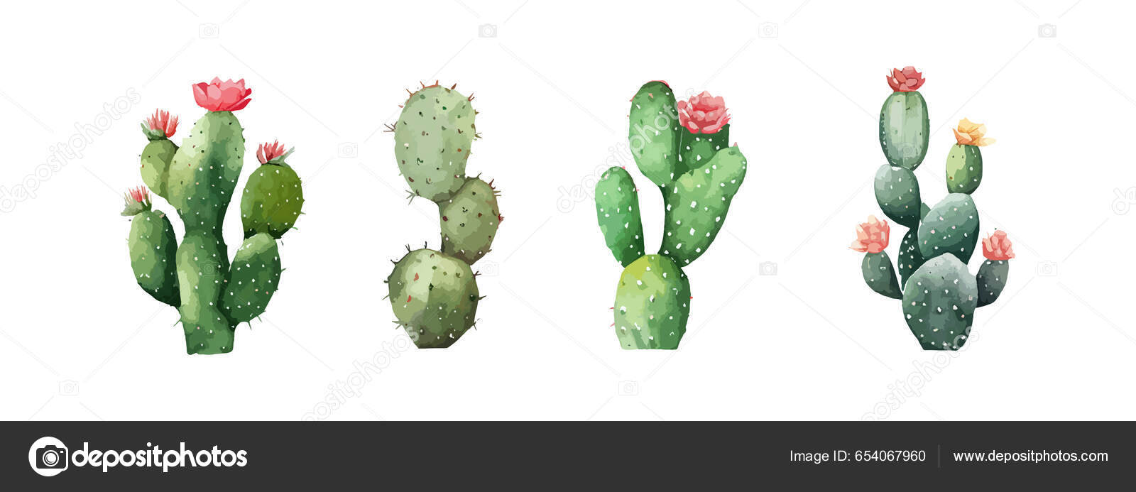 Vetores de Conjunto Realista Cactos Suculentos e mais imagens de Cacto  Nopal - Cacto Nopal, Cacto, Flor - iStock