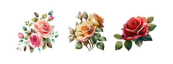 Sammlung Schöner Rosenblüten Isoliert Auf Weißem Hintergrund Frühling Und Sommer — Stockvektor