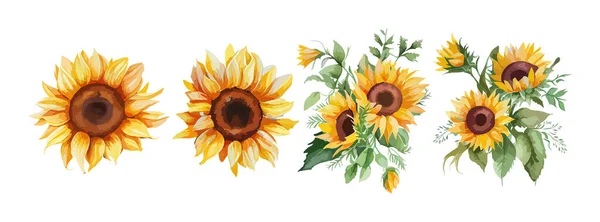 Zonnebloem Aquarel Set Geïsoleerd Witte Achtergrond Zomer Gele Bloesem Bloemen — Stockvector