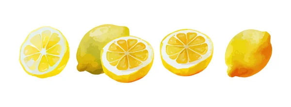 Citroen Fruit Aquarel Geïsoleerd Witte Achtergrond Set Van Biologische Gele — Stockvector