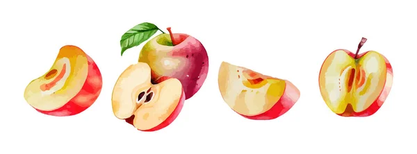 Czerwone Jabłko Akwarela Izolowane Białym Tle Świeże Letnie Owoce Słodki — Wektor stockowy