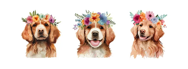Cute Golden Retriever Dog Watercolor Isolated White Background Cute Portrait — Stock Vector