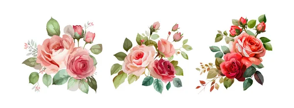 白い背景に孤立した美しいバラの花のコレクション 春と夏の赤 ピンクのバラの花の枝と葉 ベクターイラスト ストックイラスト