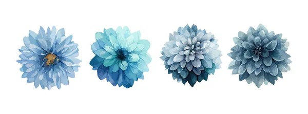 Ensemble Aquarelle Dahlia Fleurs Bleues Collection Fleurs Été Printemps Isolées — Image vectorielle