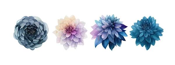 Dahlia Mavi Çiçekleri Suluboya Seti Beyaz Arkaplan Vektör Illüstrasyonuna Izole — Stok Vektör