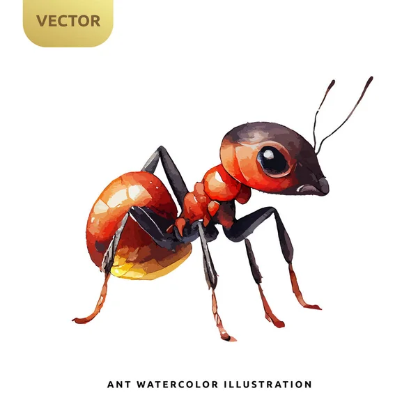 白色の背景に赤アリ水彩 子供昆虫動物の漫画のベクトルイラスト — ストックベクタ