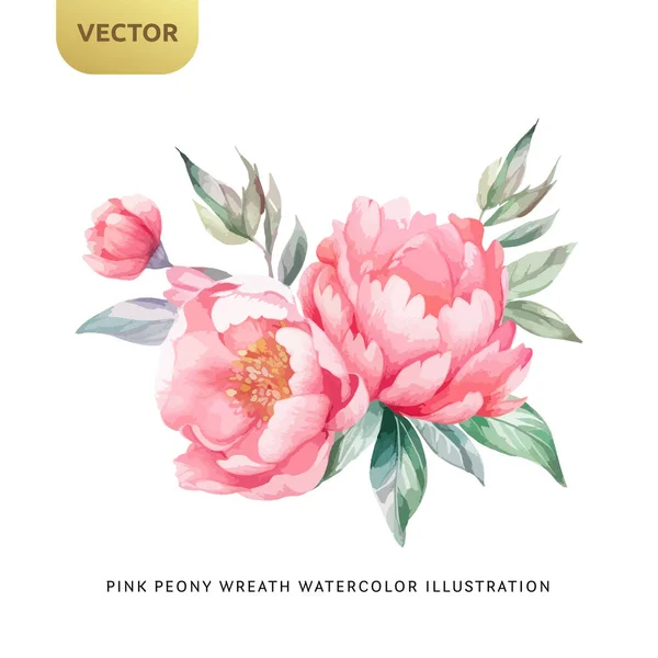 ヴィンテージピンク牡丹の花白い背景に隔離された水彩 結婚式 バレンタインや愛の招待のための装飾的な花の要素 ベクターイラスト — ストックベクタ