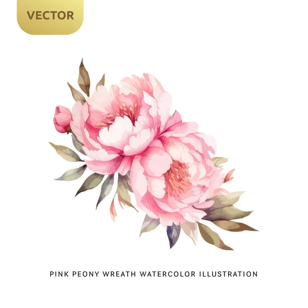 ヴィンテージピンク牡丹の花白い背景に隔離された水彩 結婚式 バレンタインや愛の招待のための装飾的な花の要素 ベクターイラスト — ストックベクタ