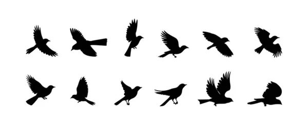 空飛ぶ鳥のシルエットは白い背景に隔離されている 鳥の輪郭黒図形手描きベクトルイラスト — ストックベクタ